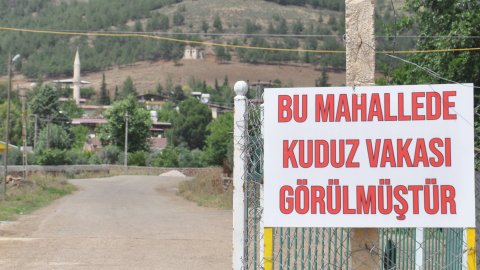 Gaziantep'te kuduz çıkan köpek nedeniyle 1 mahalle için karantina kararı çıktı