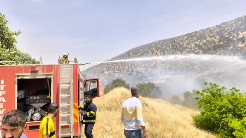 Mardin'de bahçe yangını kısa sürede büyüdü: Ormana sıçradı!