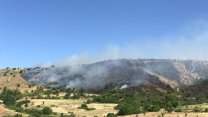 Diyarbakır'da 5 saatte söndürülen örtü yangınında 150 hektar alan zarar gördü