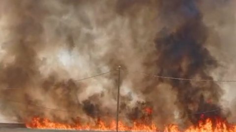 Diyarbakır’da 3 ayrı bölgede 420 dönüm ekili buğday yandı