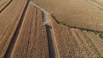 Türkiye tarımsal hasılada Avrupa'da birinci