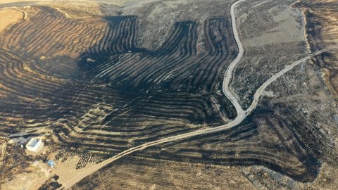 Diyarbakır ve Mardin'deki yangın bölgeleri 'Afet Bölgesi' ilan edildi