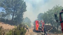 Aydos Ormanı alev alev: Yangın yerleşim yerlerine yaklaştı!