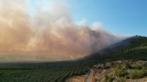 İznik'te orman yangını başladı: Alevler bir anda büyüdü!
