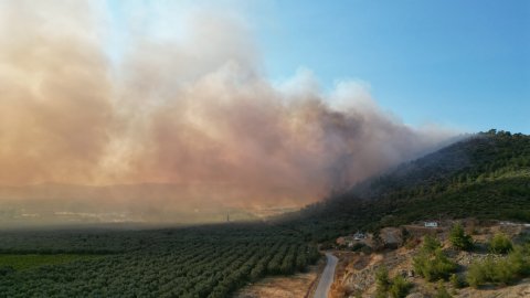 İznik'te orman yangını başladı: Alevler bir anda büyüdü!