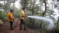 Hatay Arsuz'daki orman yangını kontrol altına alındı!