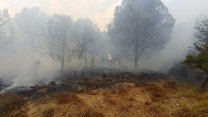 Çanakkale'de çıkan orman yangını kontrol altına alındı 