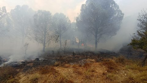 Çanakkale'de çıkan orman yangını kontrol altına alındı 