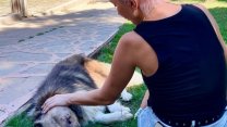 Hande Yener o köpeği sahiplenip ziyaret etti