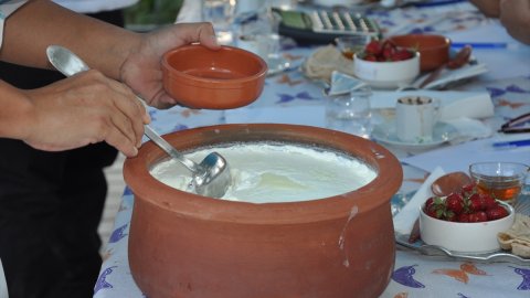 Mersin'de coğrafi işaretli Silifke yoğurdu mayalama ve yeme yarışması yapıldı