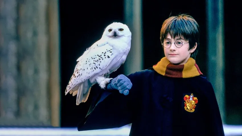 Harry Potter, geri dönüyor: Dizi için oyuncu seçmeleri başlıyor