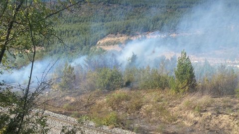 Karabük'te orman yangını kısa sürede söndürüldü