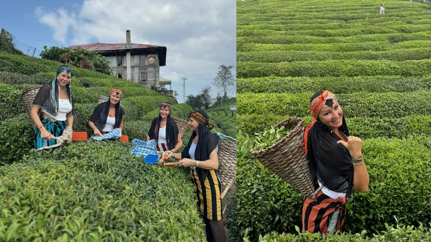 Pınar Altuğ Rize'de çay topladı