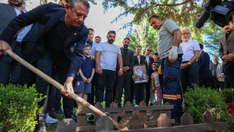 CHP'nin kedisi Şero hayatını kaybetti