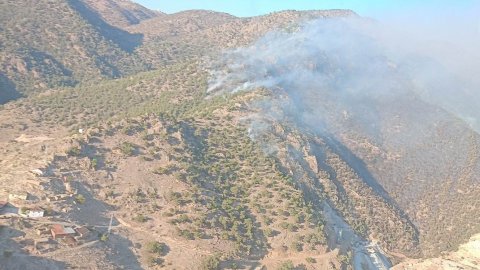 Manisa'daki orman yangınına müdahale bugün de sürüyor