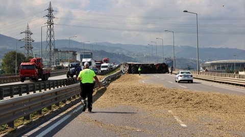 Tıra giren arı faciaya neden oluyordu: Kocaman araç devrildi!