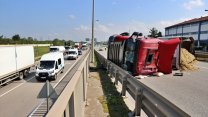 Tıra giren arı faciaya neden oluyordu: Kocaman araç devrildi!