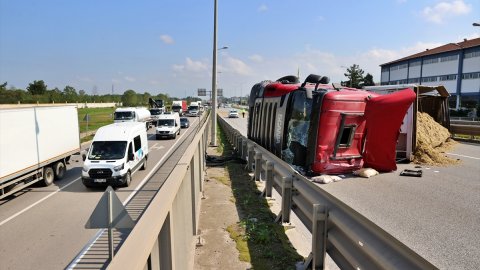 Tıra giren arı faciaya neden oluyordu: Kocaman araç devrildi!