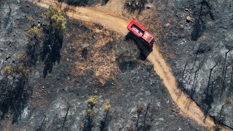 Foça'daki yangının ardından zarar gören alanlar görüntülendi