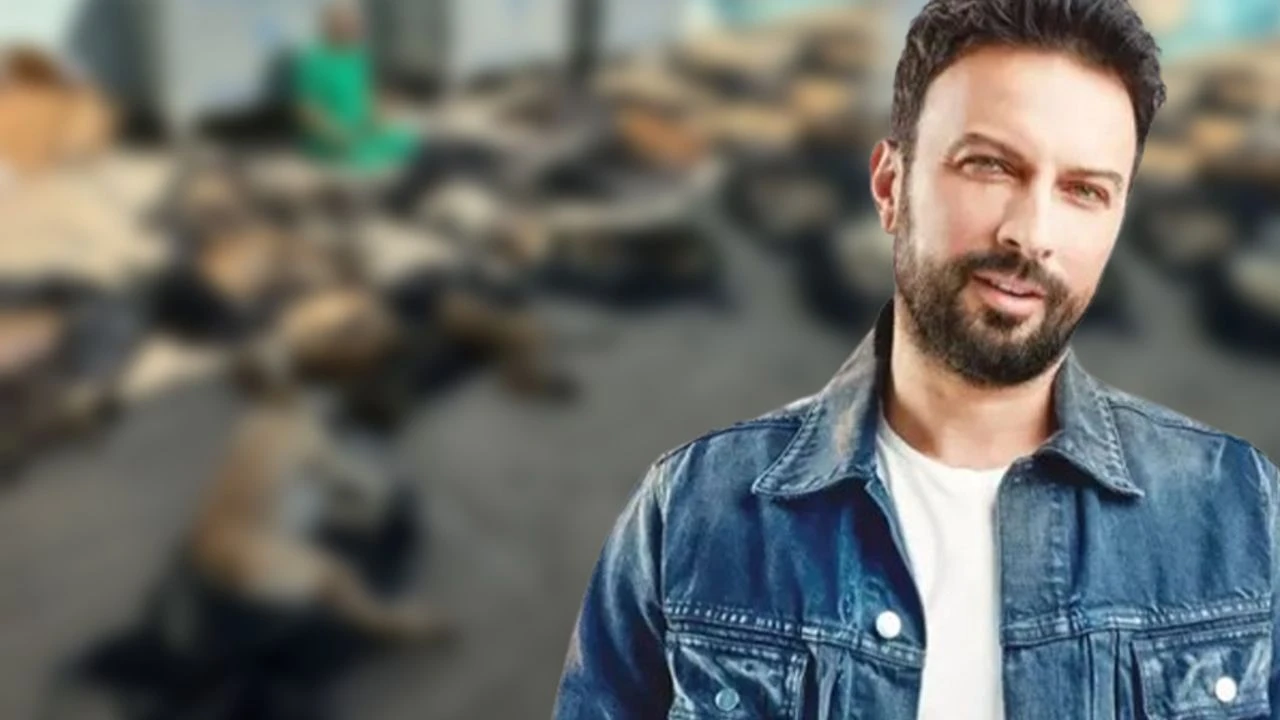 Tarkan'dan Gebze'de yaşanan hayvan katliamına tepki