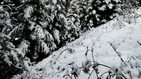 Sinop'a mevsimin ilk karı yağdı